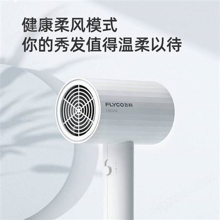 四川飞科总代理 飞科电吹风机团购定制 品牌吹风机热风筒