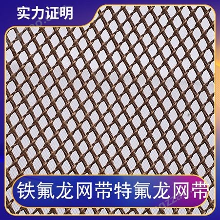 铁氟龙网带特氟龙网带 形状网格 节距0.1 螺距0.1