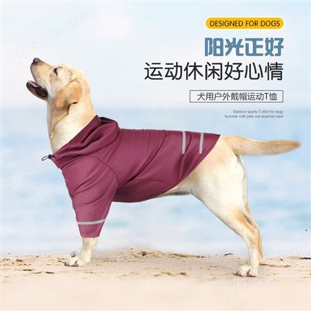宠物服饰跨境夏季新款冰丝透气速干狗狗衣服夜间可反光带帽狗T恤