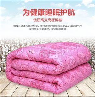 燕诺 家用棉被 新 疆棉 斜纹夏凉单人被 源头工厂 可定制尺寸