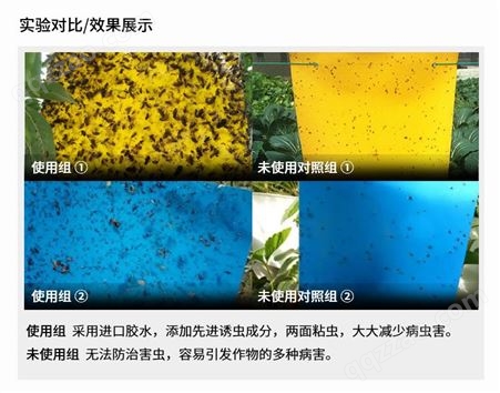 海鸿粘虫板黄色蓝色防晒耐雨苍蝇蚊子飞虫蚜虫蓟马两面粘虫诱虫板