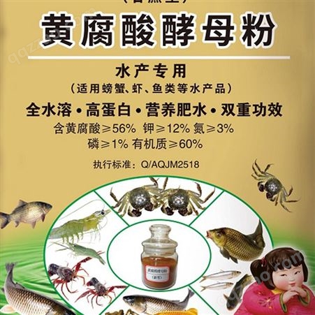 黄腐酸酵母粉 鱼虾螃蟹营养增强剂 绿色源全国出售 高蛋白