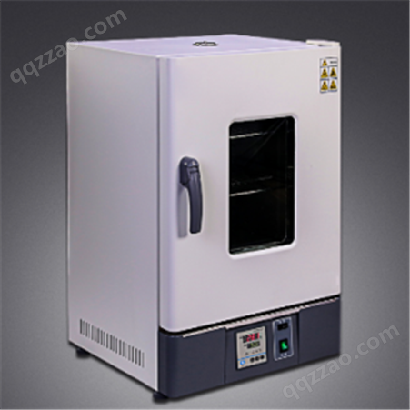 BX-Y307-125B   PID智能立式恒温干燥箱（ 标准型）