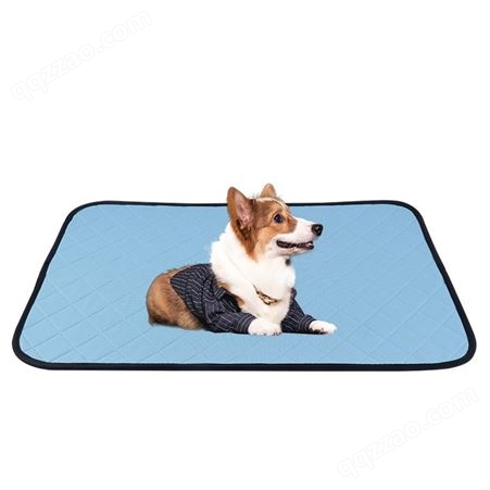 【宠物训导垫】吸水透气防滑宠物训导垫 狗狗加厚可水洗尿垫
